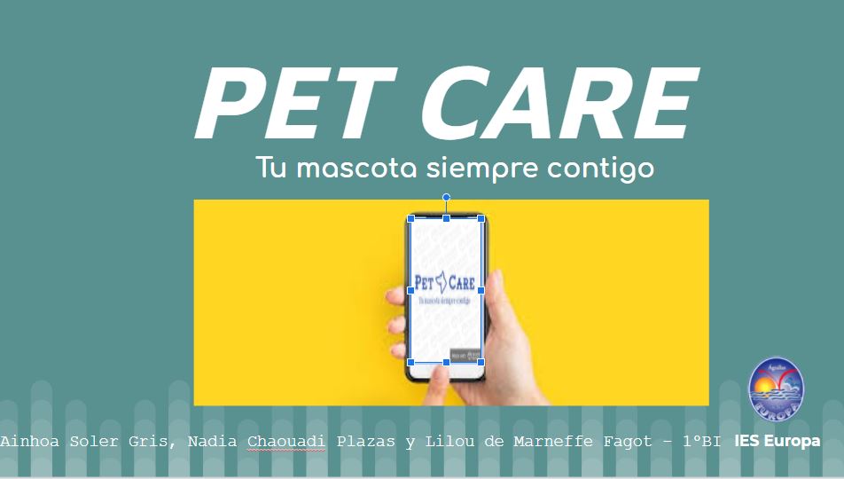 Ver Trabajo presentado PET-CARE
