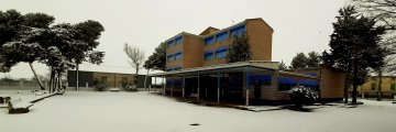 CEIP INMACULADA CONCEPCIÓN 