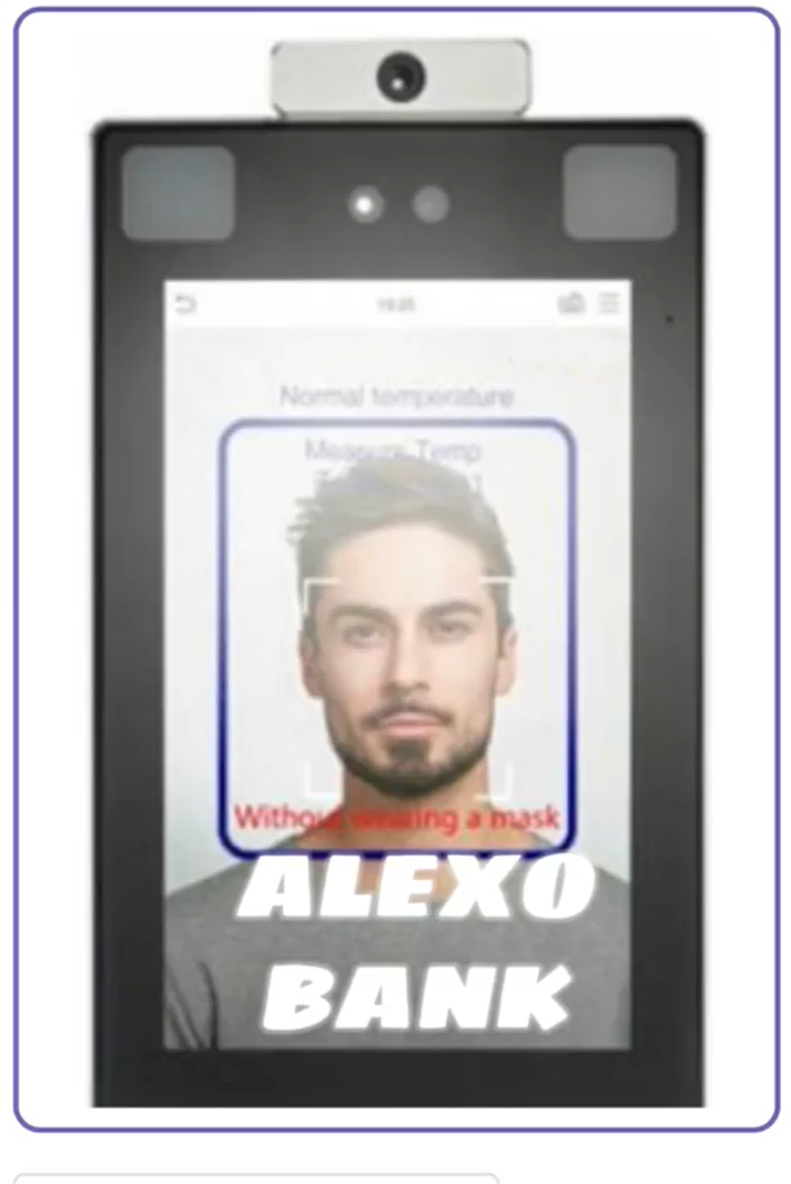 Ver Trabajo presentado Alexo Bank