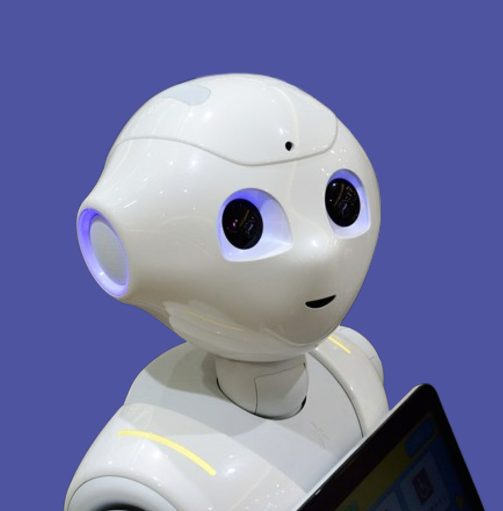 Ver Trabajo presentado Robot RANC