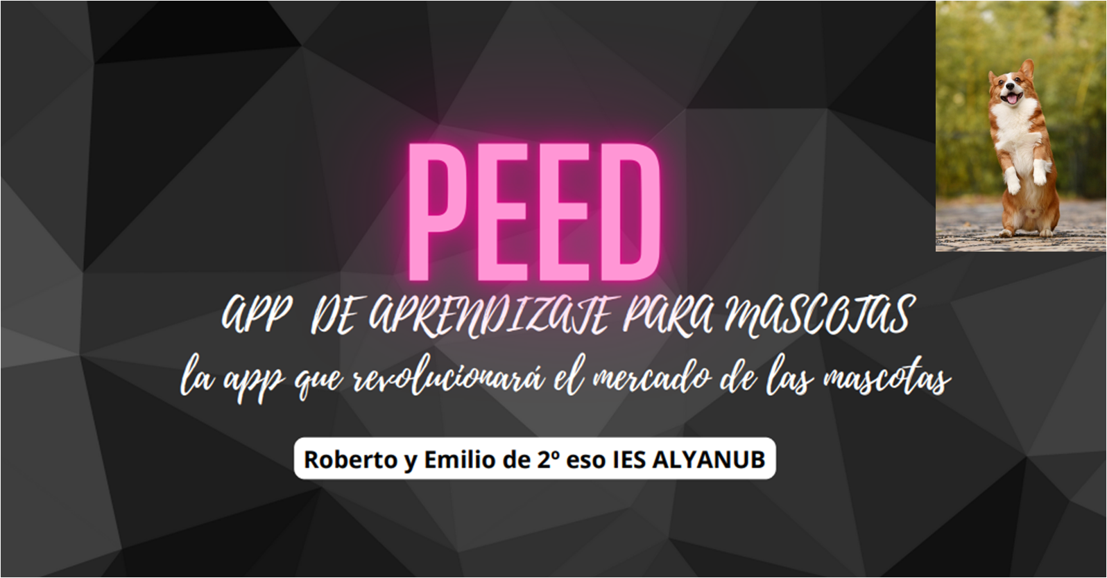 Ver Trabajo presentado PEED_app de aprendizaje para mascotas