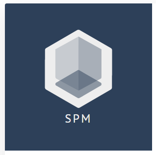 Ver Trabajo presentado SPM